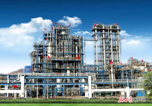 蘭州六企榮膺國家級(jí)綠色工廠，技術(shù)服務(wù)引領(lǐng)綠色智造新篇章